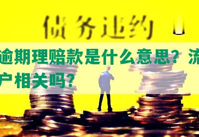 网贷逾期理赔款是什么意思？流程和身黑户相关吗？