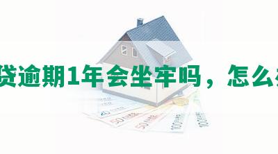 网贷逾期1年会坐牢吗，怎么办？