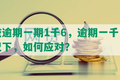 网贷逾期一期1千6，逾期一千多的情况下，如何应对？