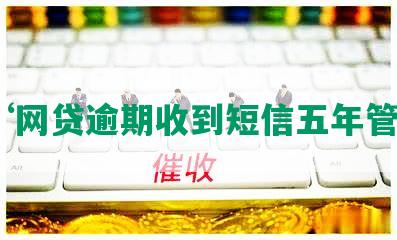 ‘网贷逾期收到短信五年管制’