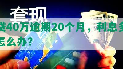 网贷40万逾期20个月，利息多少，怎么办？