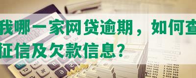 查询我哪一家网贷逾期，如何查询网贷上征信及欠款信息？