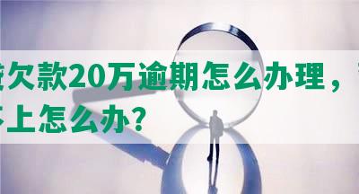 网贷欠款20万逾期怎么办理，暂时还不上怎么办？