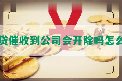 网贷催收到公司会开除吗怎么办