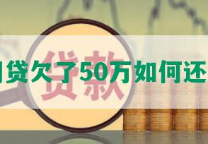 网贷欠了50万如何还清