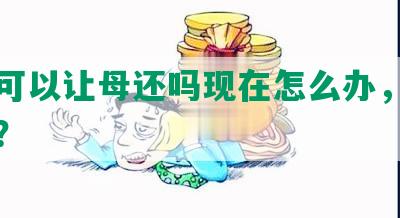 网贷可以让母还吗现在怎么办，还能还吗？