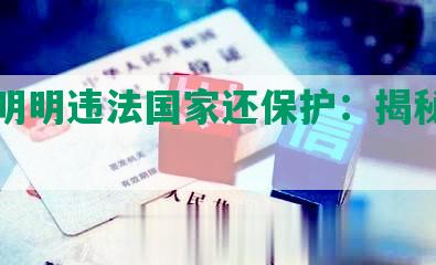 网贷明明违法国家还保护：揭秘行业乱象