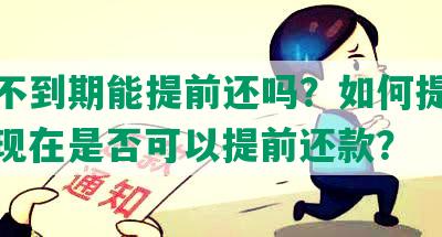 网贷不到期能提前还吗？如何提前还款？现在是否可以提前还款？