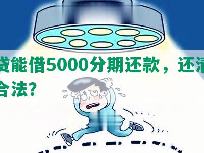 网贷能借5000分期还款，还清多少合法？