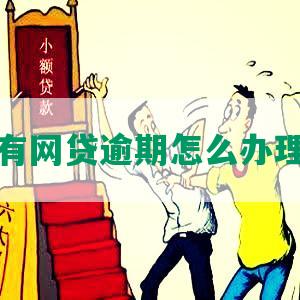 支付宝有网贷逾期怎么办理期还款