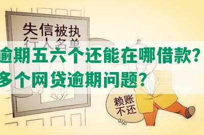 网贷逾期五六个还能在哪借款？如何解决多个网贷逾期问题？