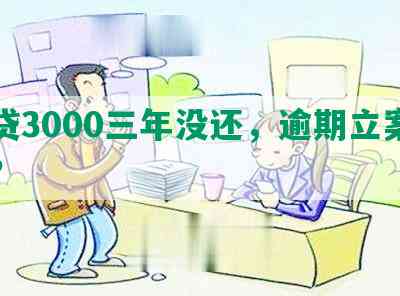 网贷3000三年没还，逾期立案能否？