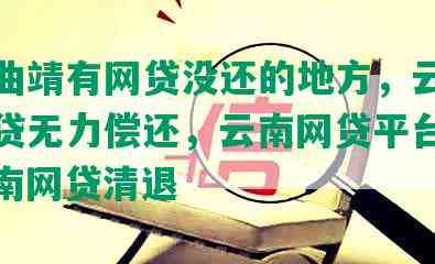 云南曲靖有网贷没还的地方，云南小伙网贷无力偿还，云南网贷平台抓获，云南网贷清退