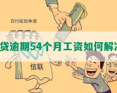 网贷逾期54个月工资如何解决？