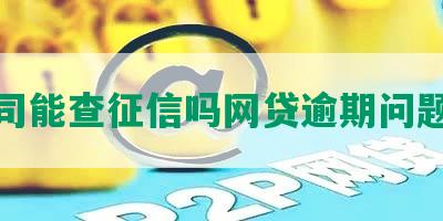 新公司能查征信吗网贷逾期问题解析