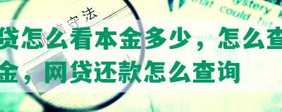 还网贷怎么看本金多少，怎么查看网贷本金，网贷还款怎么查询