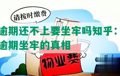 网贷逾期还不上要坐牢吗知乎：揭秘网贷逾期坐牢的真相