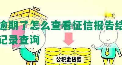 网贷逾期了怎么查看征信报告结果及相关记录查询