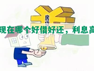 网贷现在哪个好借好还，利息高，借一点