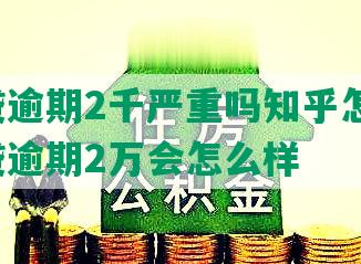 网商贷逾期2千严重吗知乎怎么办，网商贷逾期2万会怎么样