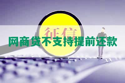 网商贷不支持提前还款