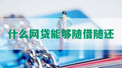 什么网贷能够随借随还