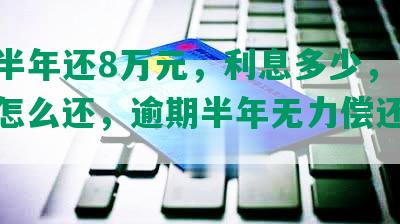 网贷半年还8万元，利息多少，会怎样，怎么还，逾期半年无力偿还怎么办？