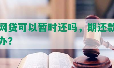 期间网贷可以暂时还吗，期还款政策怎么办？