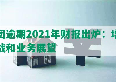 美团逾期2021年财报出炉：增长挑战和业务展望