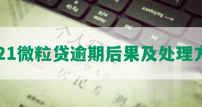 2021微粒贷逾期后果及处理方案