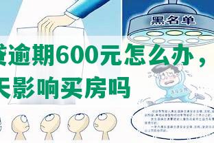 拍拍贷逾期600元怎么办，逾期130多天影响买房吗