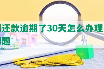 美团还款逾期了30天怎么办理及征信问题