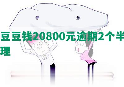 欠豆豆钱20800元逾期2个半月处理