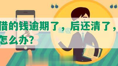 美团借的钱逾期了，后还清了，上门催收怎么办？