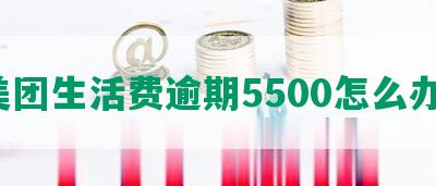 美团生活费逾期5500怎么办？