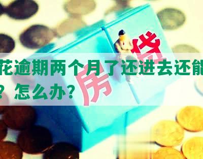 安逸花逾期两个月了还进去还能贷出来吗？怎么办？