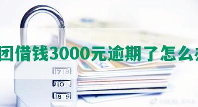 美团借钱3000元逾期了怎么办？