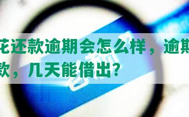 安逸花还款逾期会怎么样，逾期后如何还款，几天能借出？