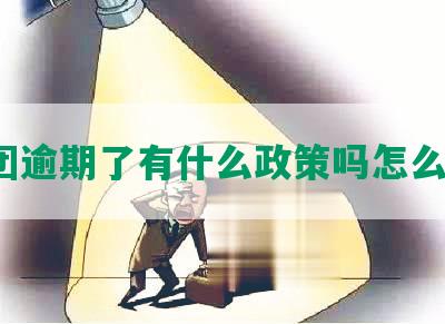 美团逾期了有什么政策吗怎么办？