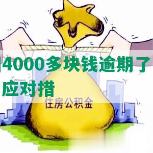 欠美团4000多块钱逾期了会被起诉吗：应对措