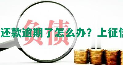 美团还款逾期了怎么办？上征信吗？