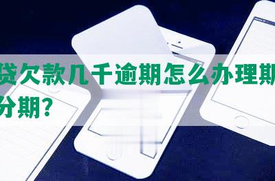 你我贷欠款几千逾期怎么办理期、还款、分期？