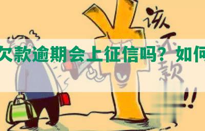 美团欠款逾期会上征信吗？如何应对？