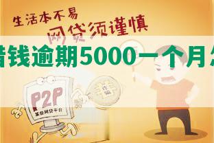 美团借钱逾期5000一个月怎么办？