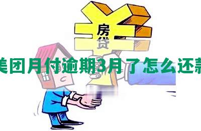 美团月付逾期3月了怎么还款