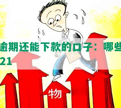 征信逾期还能下款的口子：哪些能借钱2021