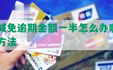 美团减免逾期金额一半怎么办啊——解决方法