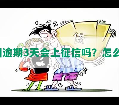 美团逾期3天会上征信吗？怎么办？