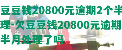 欠豆豆钱20800元逾期2个半月处理-欠豆豆钱20800元逾期2个半月处理了吗