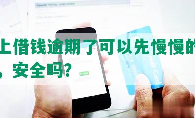 美团上借钱逾期了可以先慢慢的还一点吗，安全吗？